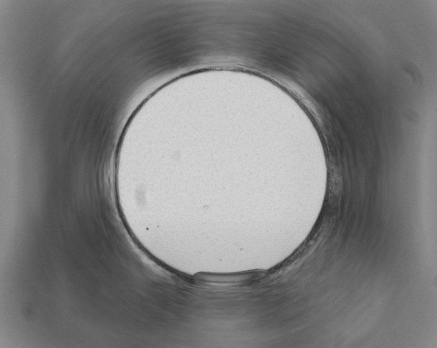 X0000111911343200909071149