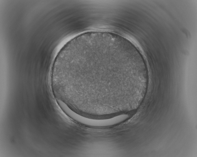 X0000111911344200909071149