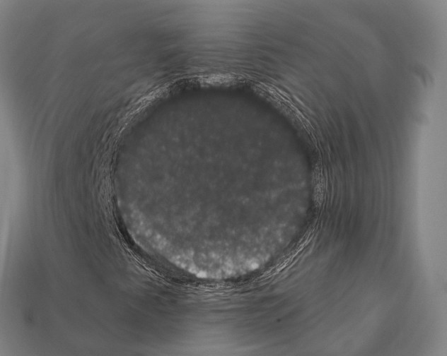 X0000111911345200909071148