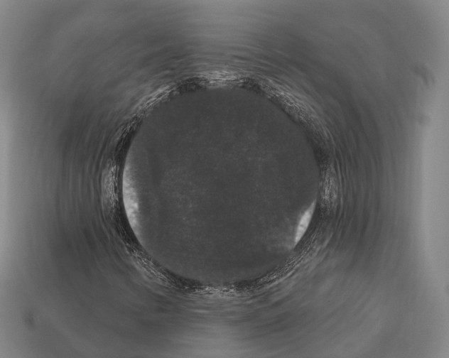 X0000111911346200909071148