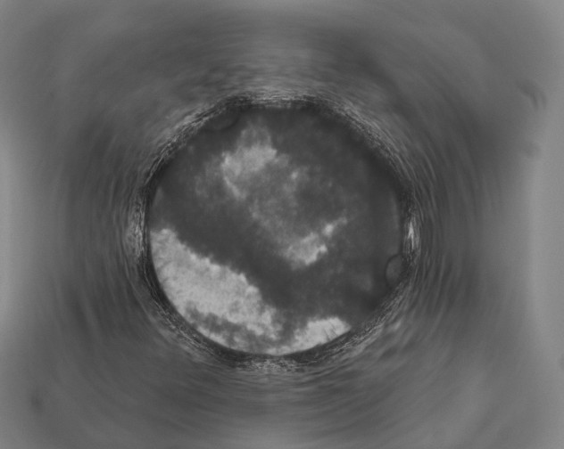 X0000111911348200909071148
