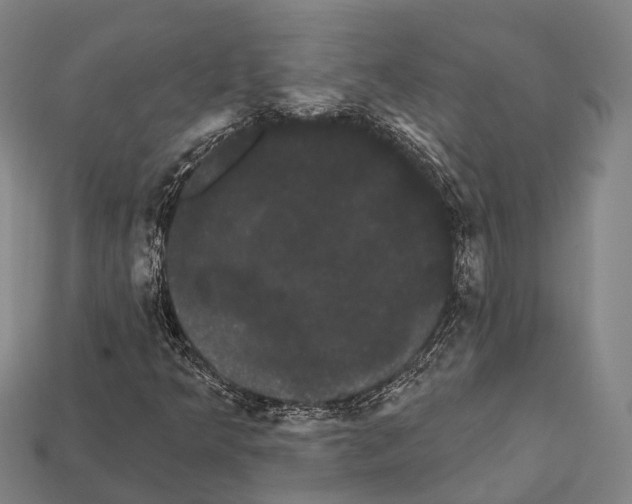 X0000111911349200909071148