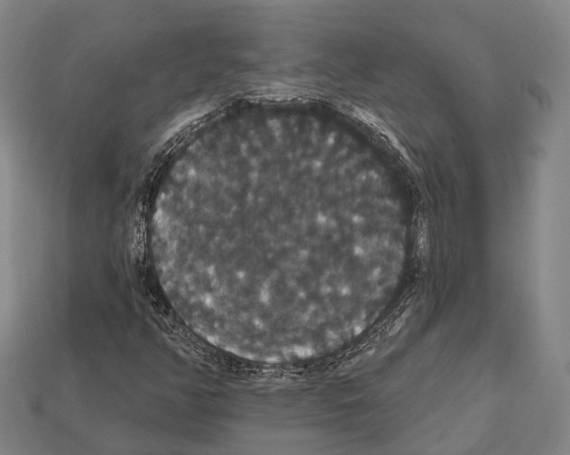 X0000111911350200909071148