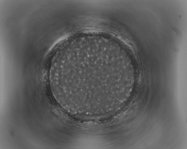 X0000111911351200909071148