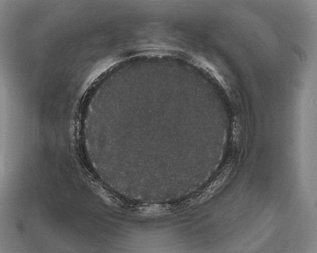 X0000111911352200909071148