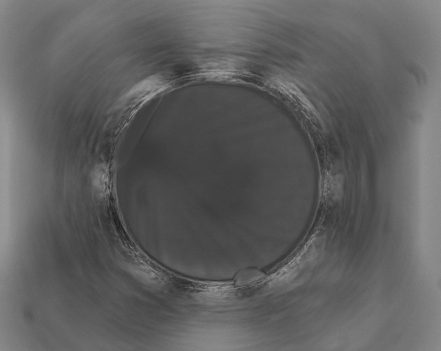X0000111911353200909071148