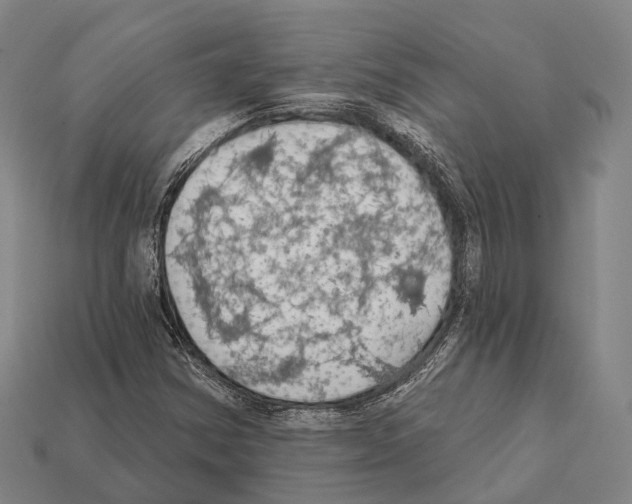 X0000111911354200909071148