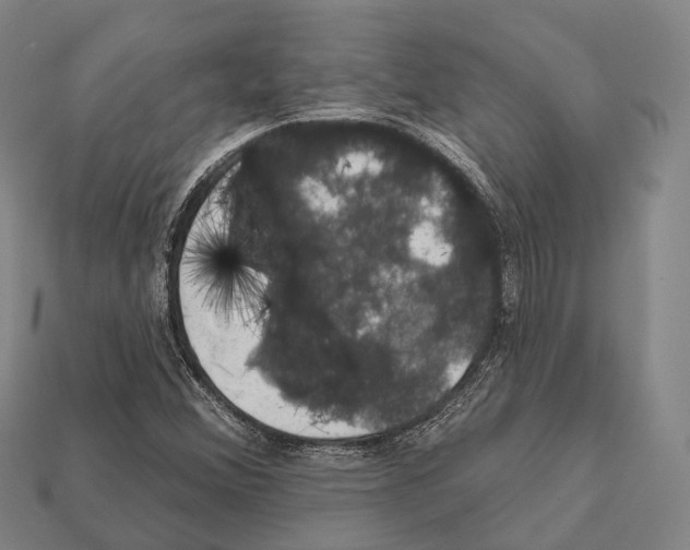X0000111911356200909071148