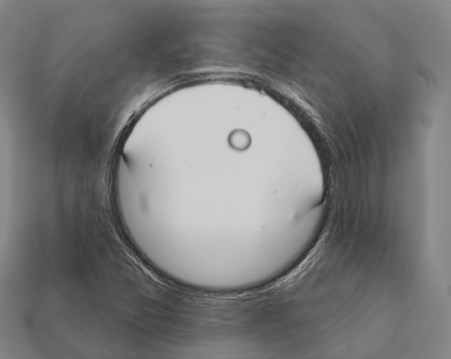 X0000111911357200909071148