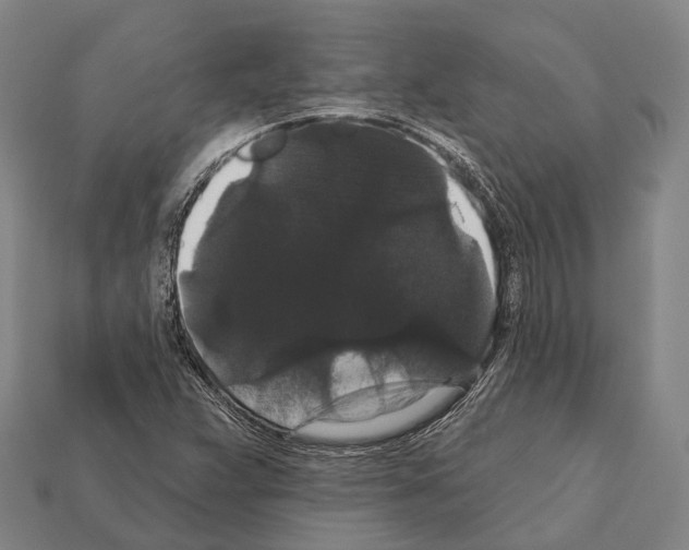 X0000111911359200909071148