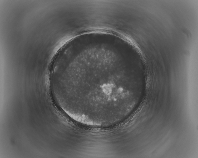 X0000111911360200909071148