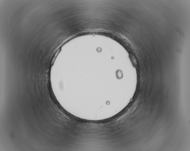X0000111911361200909071148