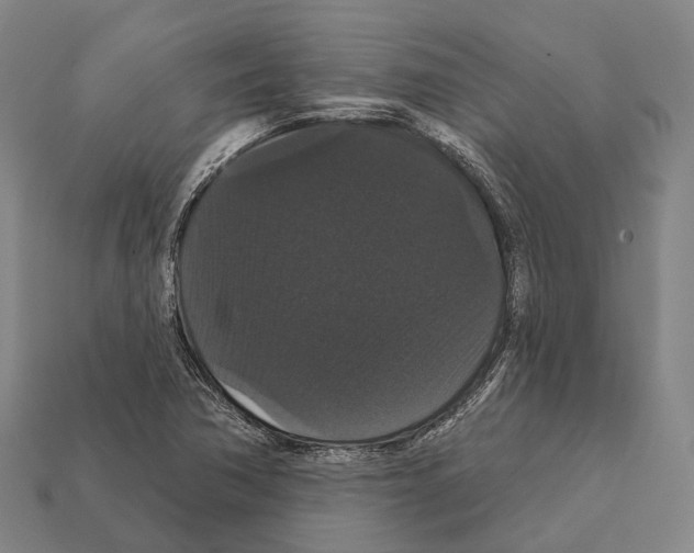 X0000111911362200909071148