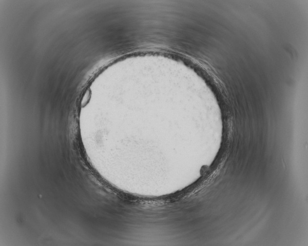 X0000111911363200909071148