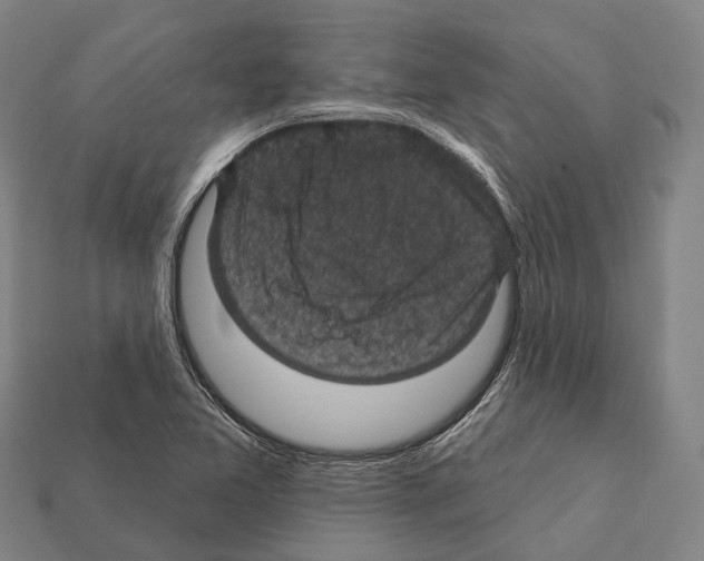 X0000111911365200909071148