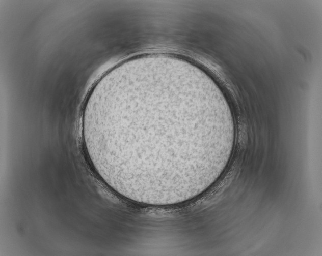 X0000111911366200909071148