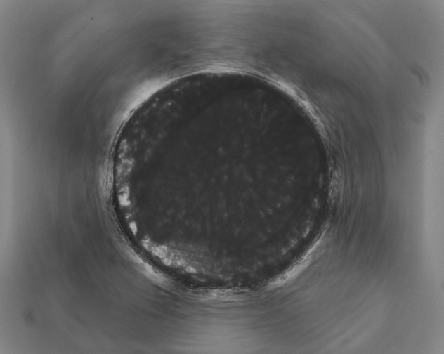 X0000111911367200909071148