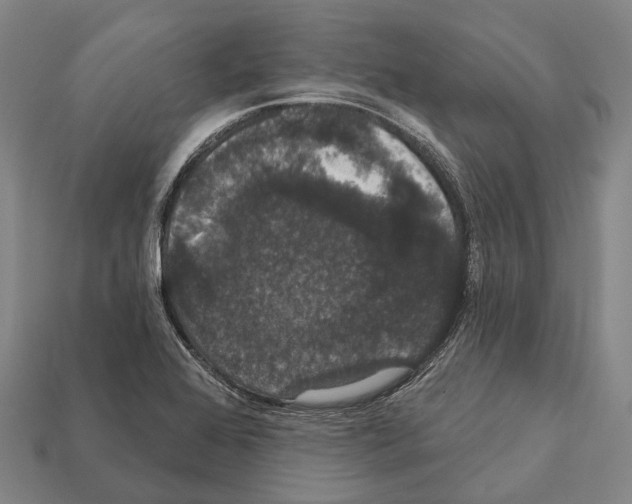 X0000111911368200909071148