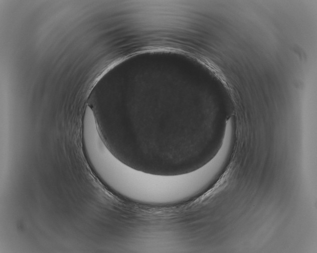 X0000111911369200909071148