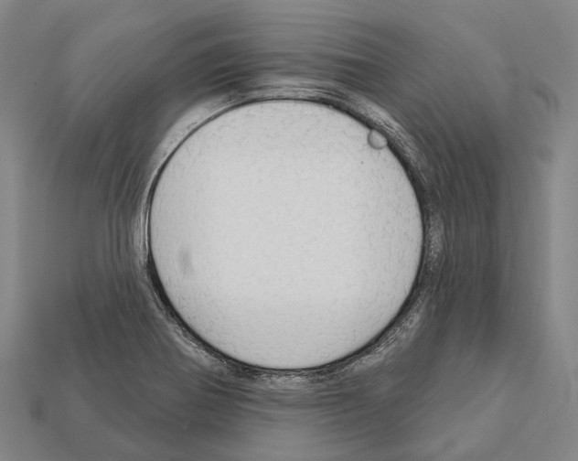 X0000111911370200909071148