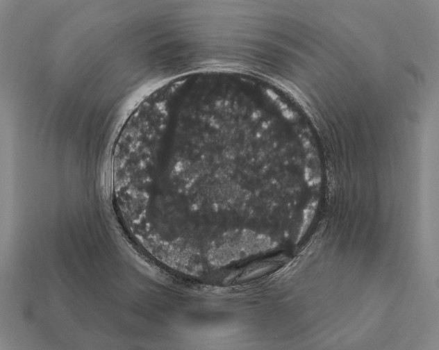 X0000111911371200909071148