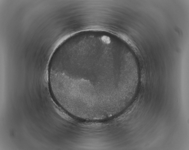 X0000111911372200909071148