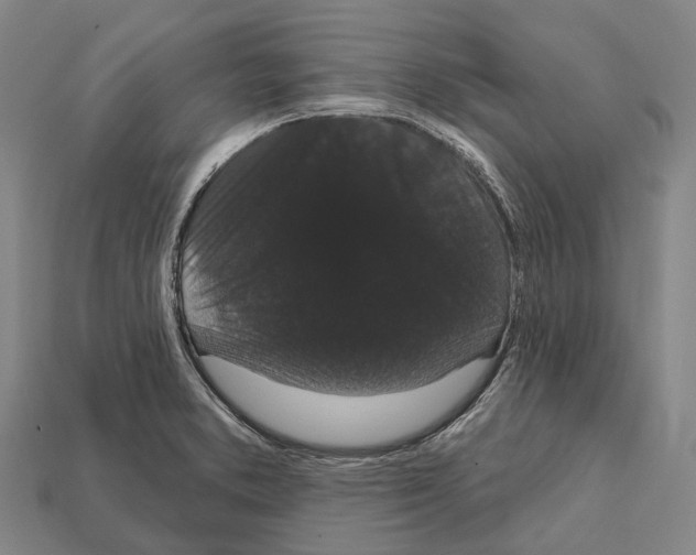 X0000111911373200909071148