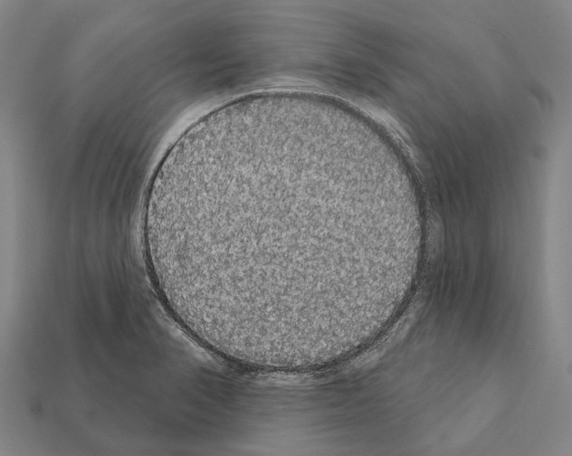 X0000111911374200909071148