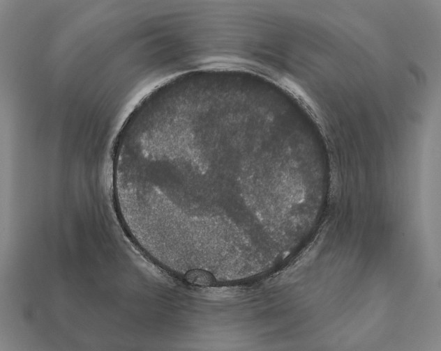 X0000111911376200909071148
