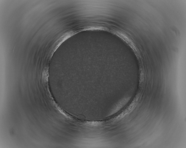 X0000111911377200909071148