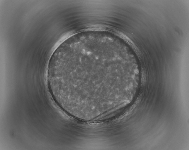 X0000111911378200909071148