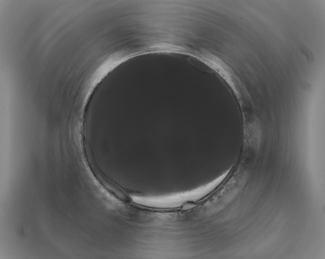 X0000111911381200909071148