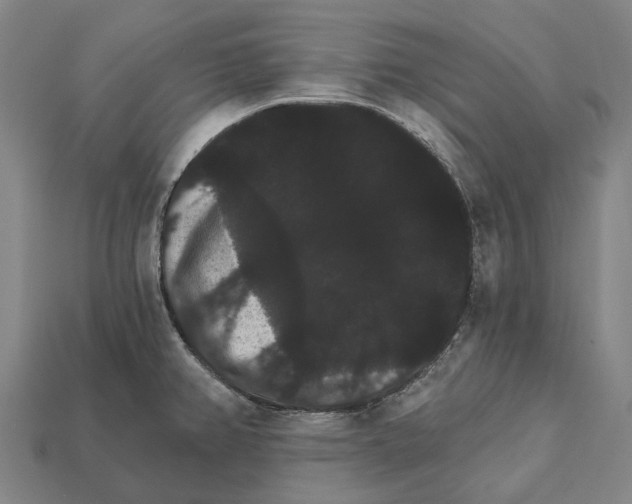 X0000111911382200909071148