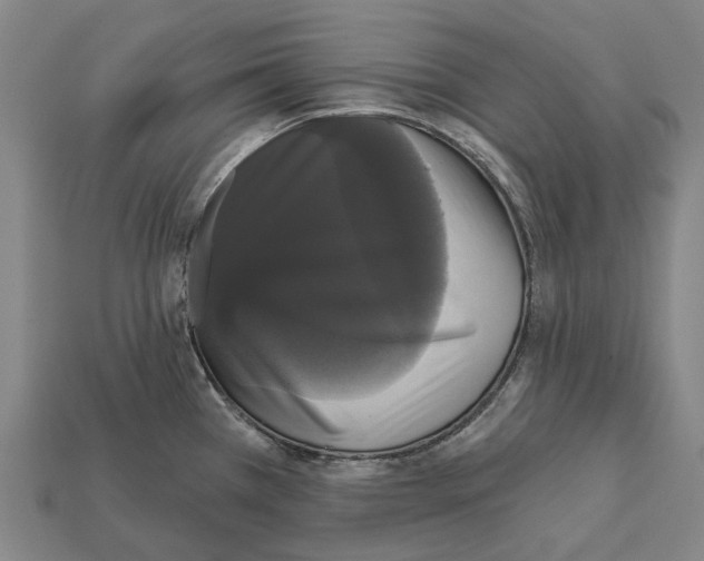 X0000111911385200909071148