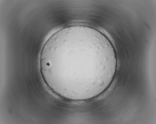 X0000111911386200909071148