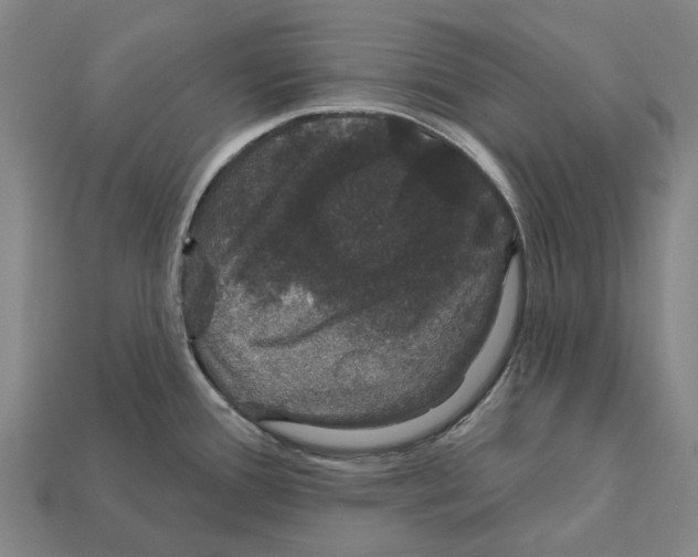 X0000111911388200909071148