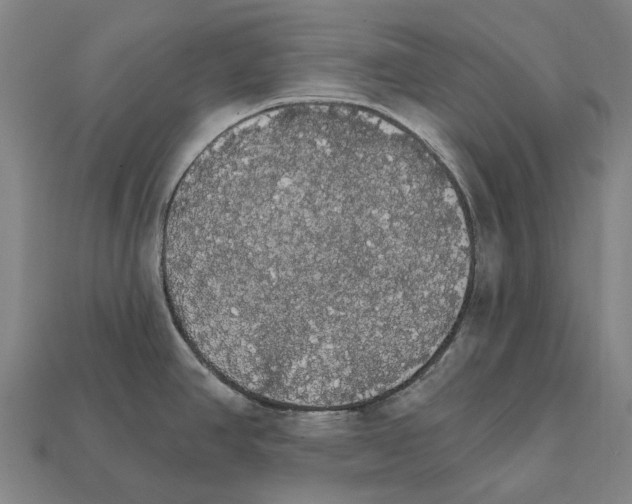X0000111911390200909071148