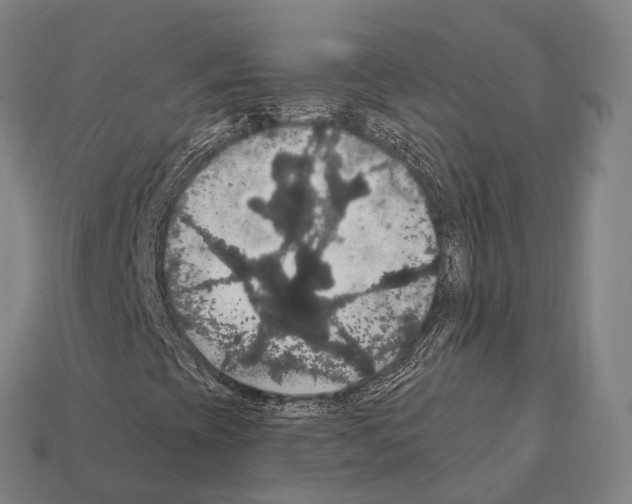 X0000111911393200909071147