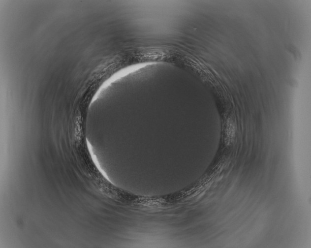 X0000111911394200909071147