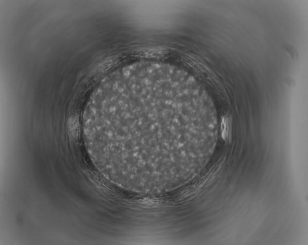 X0000111911395200909071147
