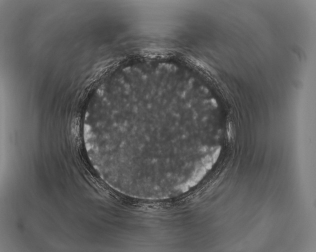 X0000111911396200909071147