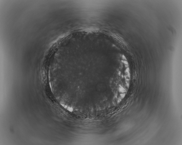 X0000111911398200909071147