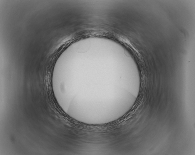 X0000111911399200909071147