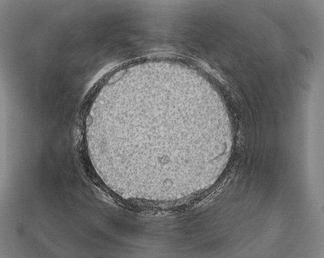 X0000111911400200909071147