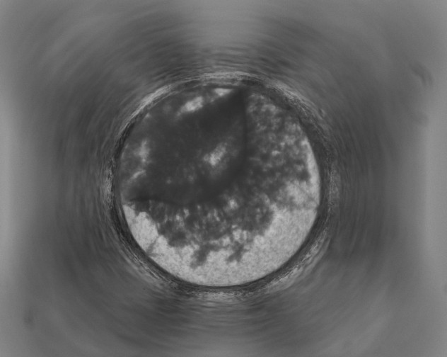 X0000111911401200909071147