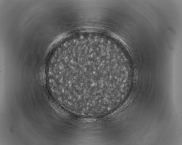 X0000111911403200909071147