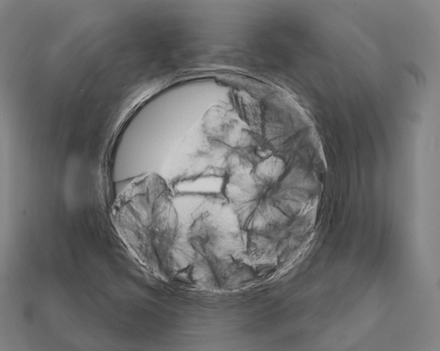 X0000111911405200909071147