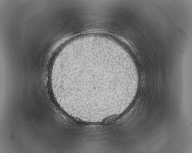 X0000111911406200909071147
