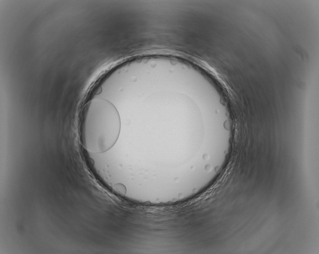 X0000111911408200909071147