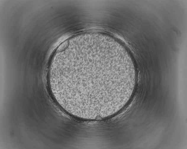 X0000111911410200909071147